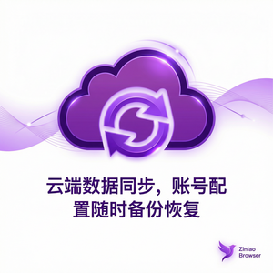 紫鸟浏览器电脑版 - 紫鸟浏览器电脑版API滥用防护